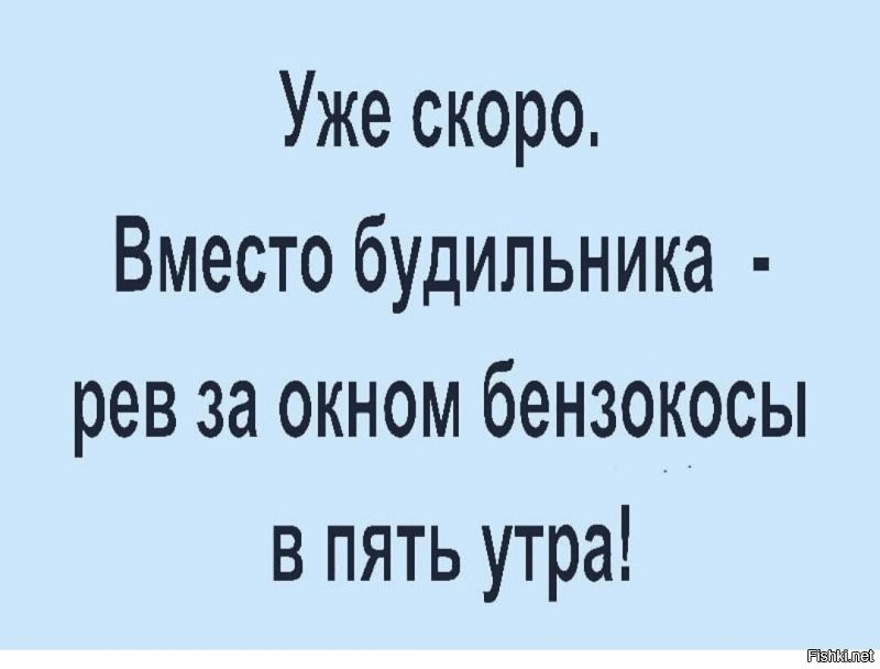 11 июня, Феодосия Колосяница (Гречишница)