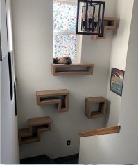 Настенные кошачьи лазалки отлично экономят место в тесной квартире...
Маленькая двухэтажная квартира...нда