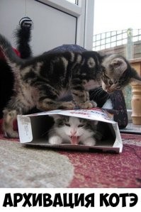 одна из разновидностей. У вас винзип, а у меня винрар