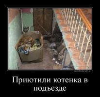 просто продолжение истории!