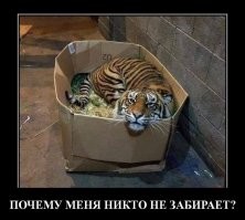 просто продолжение истории!