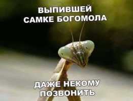 Вечерняя подборка прикольных картинок