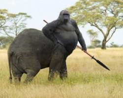 25 забавных снимков, которые помогут вам дожить до конца рабочей недели