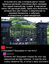 Смешные и познавательные картинки