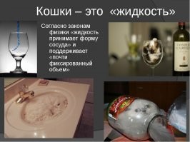 17 фотографий с идеальными совпадениями