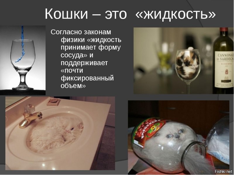 17 фотографий с идеальными совпадениями