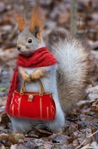 Ну да, попробуй резко теперь бросить пить и тогда тебя ждёт прекрасное животное: