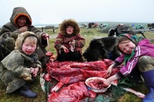 В Саратове питоны пробрались по канализации в квартиру
