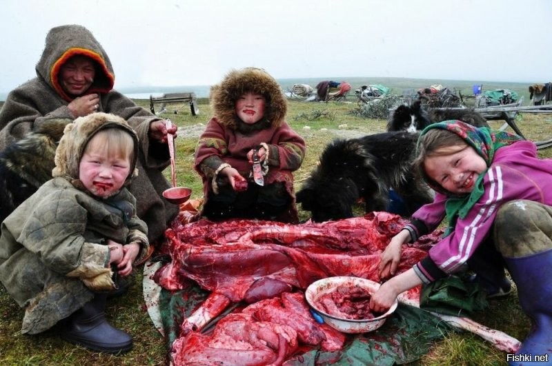 В Саратове питоны пробрались по канализации в квартиру