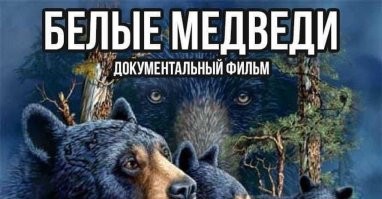 так он еще и не трансгендерный гендерквир с симптомами неглекта подвергшийся шейменговому сталкингу от мизогинного абьюзера с целью виктимблеймингового харасмента!
короче беспредел!
Все передовые бодипозитивные фемки чешут третье яйцо от этого возмущения!