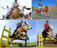 Чем САУ хуже танка?