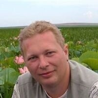 В фейсбуке и на дроме? Вы лучше покажите скриншот с количеством сообщений на фишках.