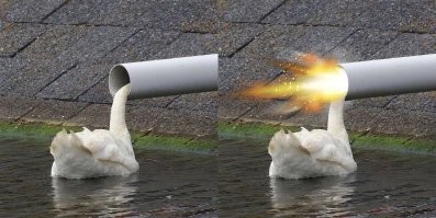 Фотоподборка