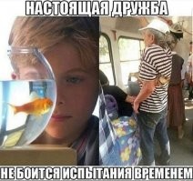 30 фотосравнений, которые могут вас удивить