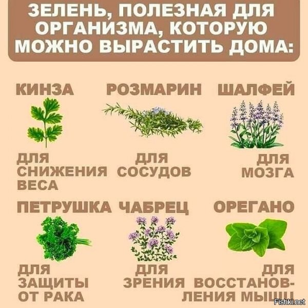 Калейдоскоп политической новостной сатиры и позитива