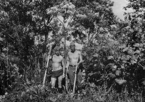 Анивский район, на краю болота на котором мы косили клевер в помощь колхозу.