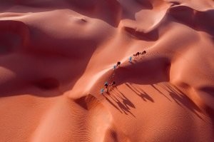 Вообще супер! Рискну предложить музыкальный фон для этой фотографии.