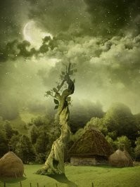 т.е. если посадить там горох или бобы...
может сказка и не врет.