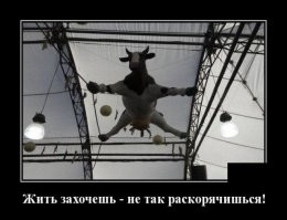 40 человек, которых фотографы застигли в самых нелепых позах