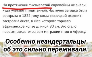 30+ невероятных фактов в копилку ваших знаний