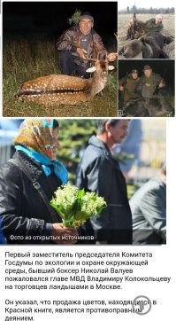 "Чтобы понять браконьеров, нужно стать браконьером".