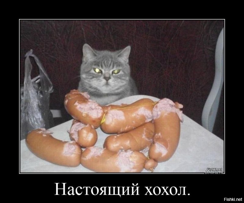 Ну это же настоящий хохол.