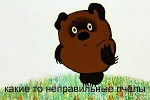 Вечерний калейдоскоп позитива, мысли, о животных и другие смысловые картинки