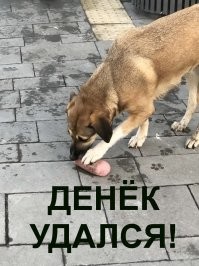 Смешные и познавательные картинки