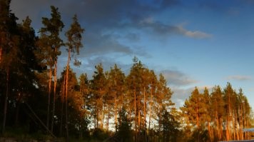 Ну вот к примеру. Не гениально конечно...