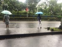 Так вот ты какая, сикарака.