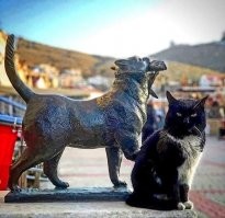 Памятник Балаклавскому коту