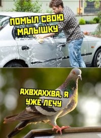 Смешные комментарии из соц.сетей