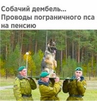 Смешные и познавательные картинки