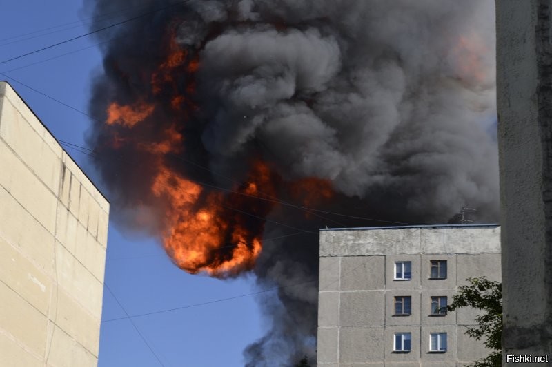 Две волны ударные поймал сегодня. Первую ещё на балконе, когда непонятно было, что за свистящий звук за соседним домом, а вторую, когда уже пошёл посмотреть, что происходит. Не дай бог оказаться вблизи такого ЧП. Фото моё. Только из дома вышел, как...