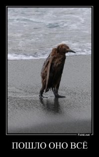 Смешные и дикие