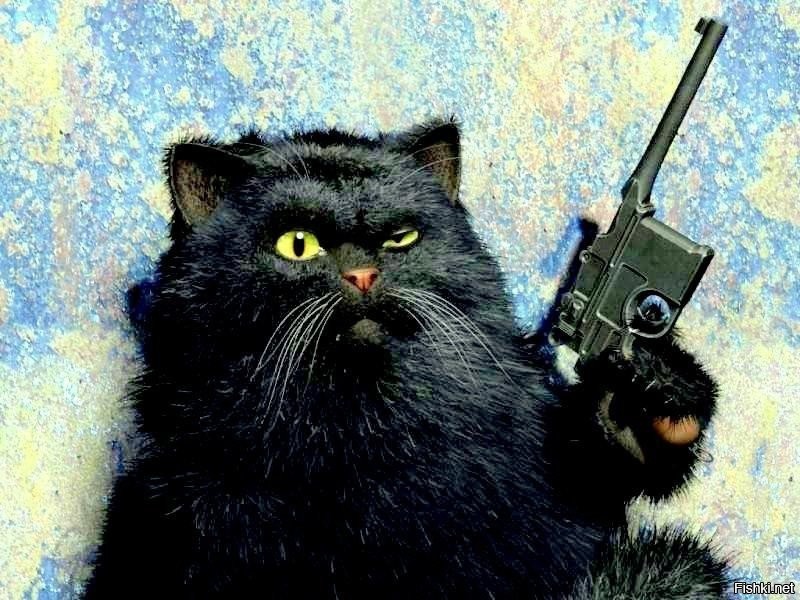 Кот с автоматом рисунок