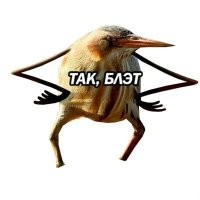 Интересно, кто с кого копировал