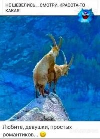 Смешные и познавательные картинки