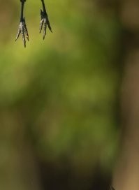 Это не "Не в фокусе" - это не в кадре. Не в фокусе тут другие есть.
