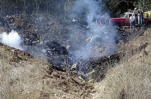 Только общедоступные факты. Первый самолёт «Боинг-767» (Рейс 11) врезался в небоскрёб «Северная башня» в 8:45, который обрушился через 102 минуты после удара. Второй самолёт «Боинг-767» (Рейс 175) врезался в «Южную башню» в 9:03, которая обрушилась через 56 минут после удара. Третий небоскреб, башня WTC 7, в который никакой самолет не врезался, разрушился в 17:20, видимо от испуга. Конструкция небоскреба включает в себя 47 массивных стальных колонн, с толщиной стенок 12 см. Возьмите алюминиевое ведро и киньте со всех сил в танк, например Т-34 лобовая броня которого всего 4,5 см. Ведро войдет внутрь танка, так же легко, как самолет вошел внутрь небоскреба.

Третий самолёт «Боинг 757 200» (Рейс 77) врезался в Пентагон в 9:40. Как видим на фото, он сгорел полностью, даже дотла сгорели реактивные двигатели. Прилагаю фото с размерами.

Второе фото еще более странное. По официальной версии, на втором фото изображен четвёртый самолёт «Боинг-757» (Рейс 93), который спикировал в землю в Пенсильвании в лесу в 125 километрах к югу-востоку от Питтсбурга. Ну как изображен, он тоже "полностью сгорел" до винтика. Повезло, что хотя бы не сгорели паспорта угонщиков, и в США узнали, кого следует наказать.