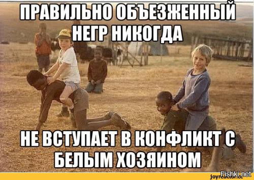 Мем солнце светит негры пашут скачать