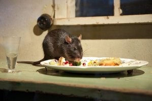 Это не сделка, а образ жизни.