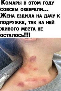 Моя первая жена тоже пробовала на комаров все списать... Была выгнана на следующий день после комариных укусов... Комары звери, конечно! ))))