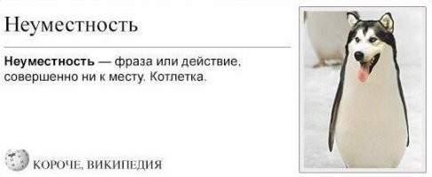 Необычный звонок в полицию