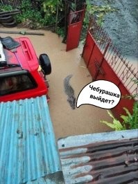 Намешалось