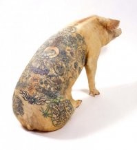 Смешные комментарии из соц.сетей