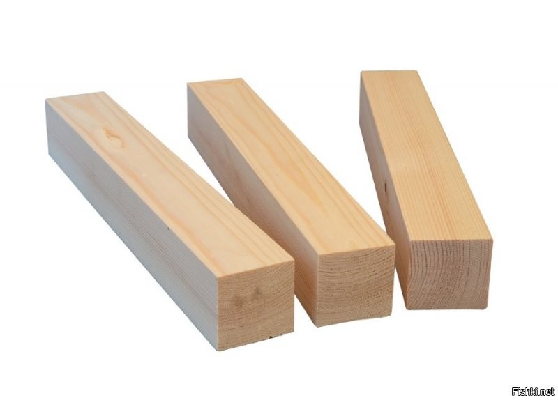 не обижай пернатых,  у Сборной такие