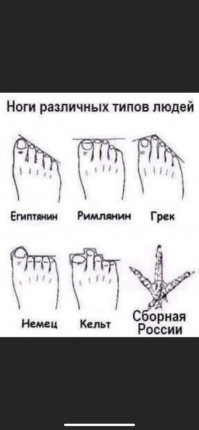 Смешные и познавательные картинки