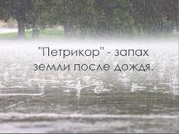 20 картинок с запахом, который вы пронесете через всю жизнь