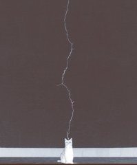 Кот - повелитель молний!